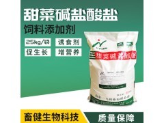 現代農業產業鏈全景 從田間到餐桌的多元生態